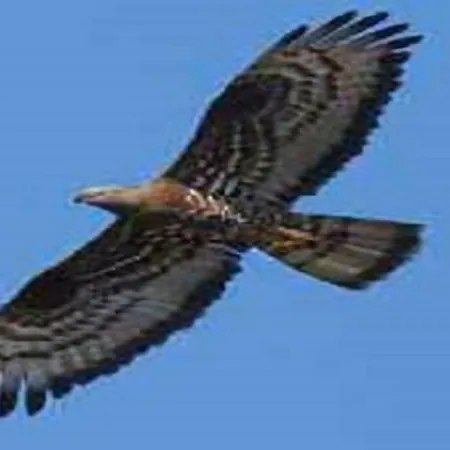 Grottino Parco Velino Sirente * San Potito