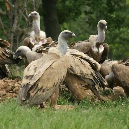 Grottino Parco Velino Sirente Apartament *