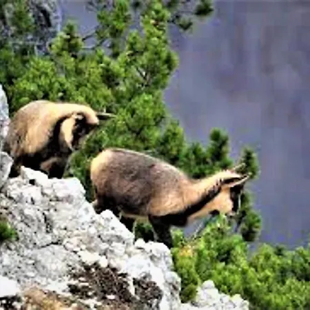 Apartament Grottino Parco Velino Sirente San Potito