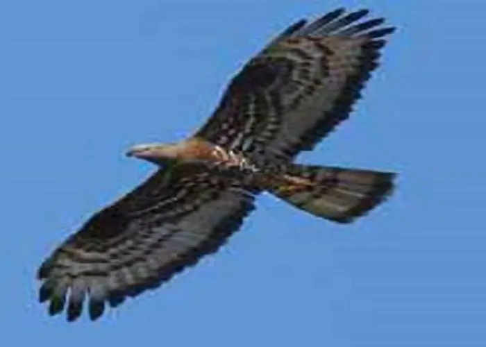 Grottino Parco Velino Sirente * San Potito