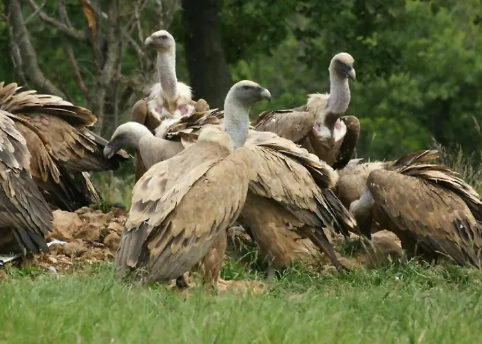 Grottino Parco Velino Sirente Appartamento *