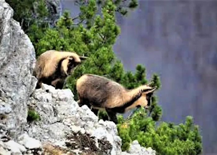 Appartamento Grottino Parco Velino Sirente San Potito